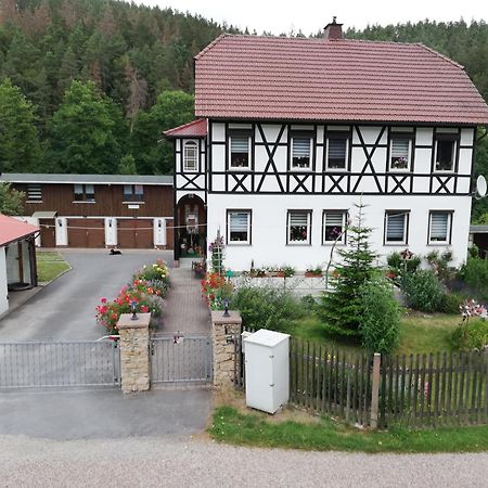Fewo An Der Klosterruine Paulinzella Mit Kostenfreien Parkplatz Und Wlan Buitenkant foto