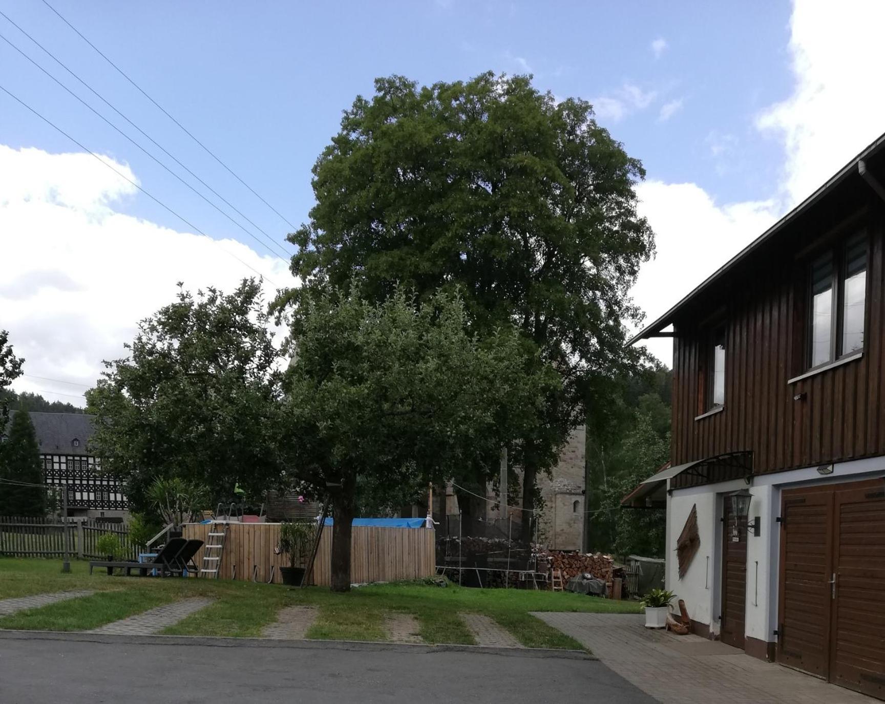 Fewo An Der Klosterruine Paulinzella Mit Kostenfreien Parkplatz Und Wlan Buitenkant foto
