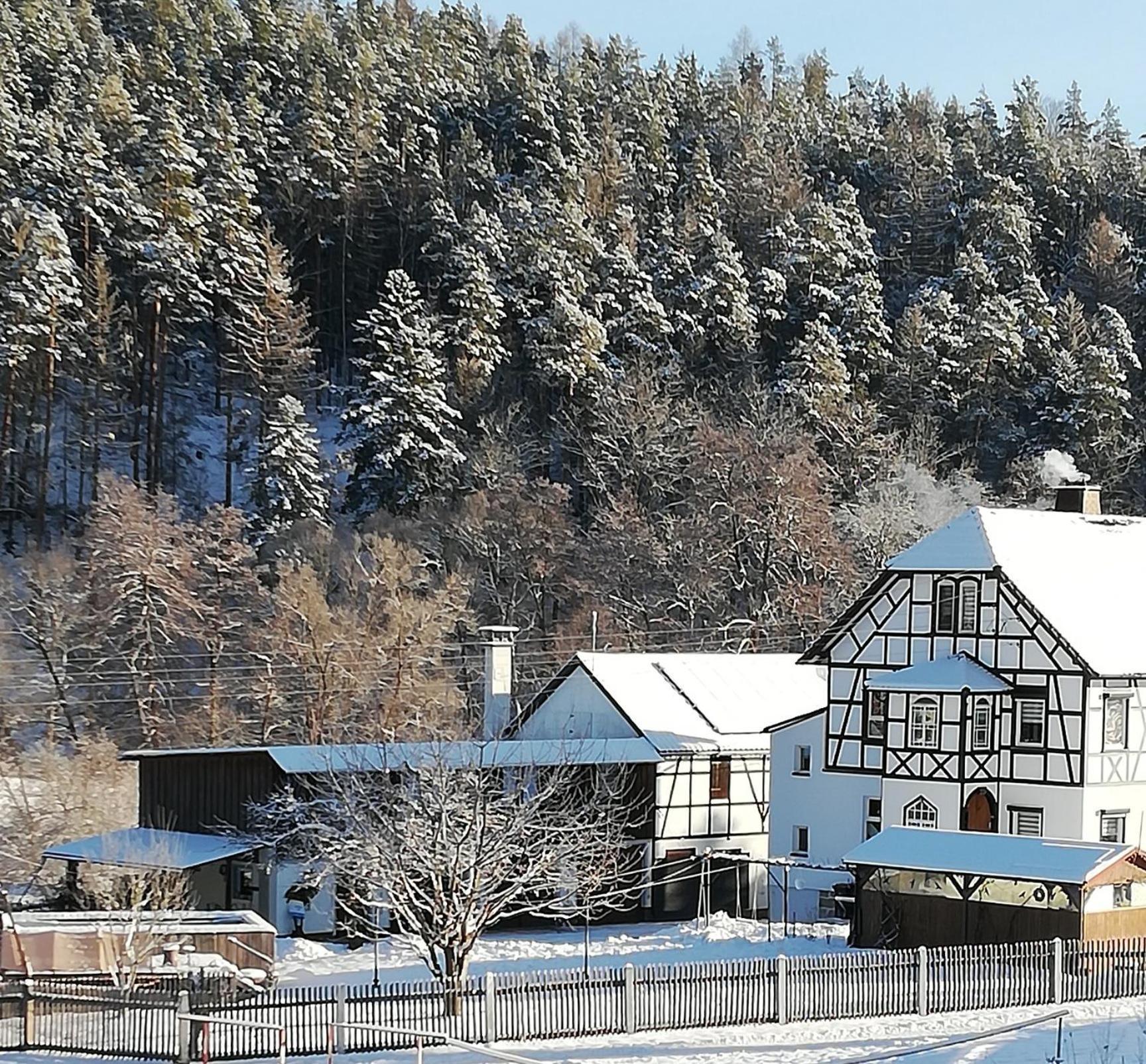 Fewo An Der Klosterruine Paulinzella Mit Kostenfreien Parkplatz Und Wlan Buitenkant foto